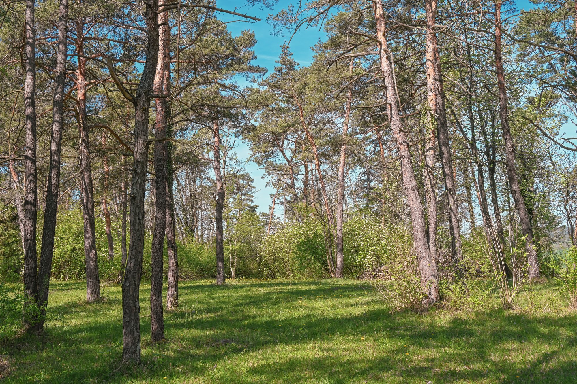 Brunswick County lot evaluation before building a custom home
