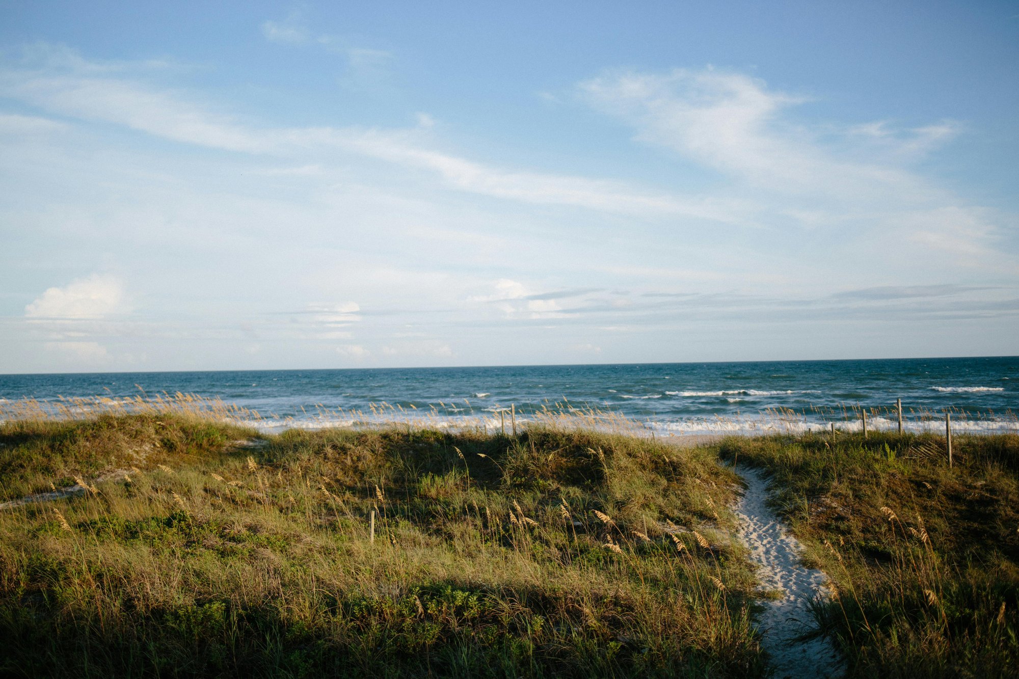 coastal-construction